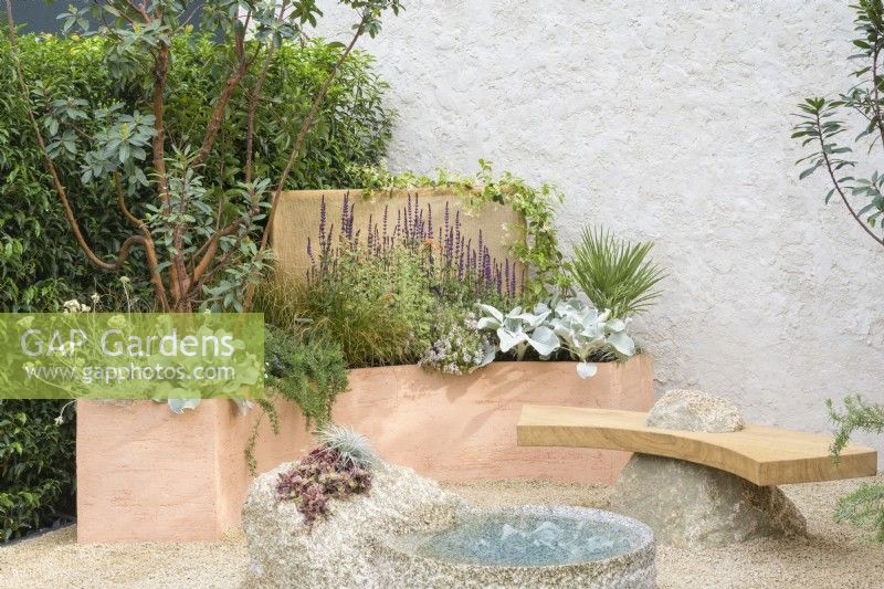 Drought tolerant garden with stone water feature, sculptural wooden bench set on stone and rendered wall. Curved terracotta planters with Arbutus, Salvia, Rosmarinus officinalis 'Prostratus' and Senecio candidans 'Angels Wings' - A Mediterranean Reflection, RHS Chelsea Flower Show 2022 - Silver Medal