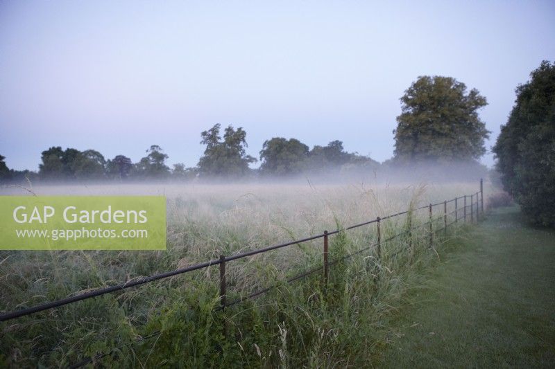 Early morning mist over a meadow. Metal railing fence. Grasses. Summer.