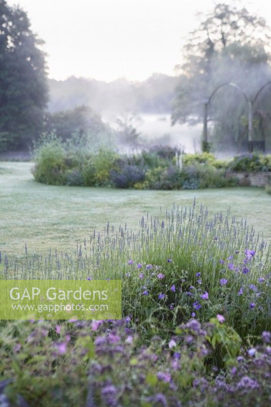  Lavender and geranium borders with distant river mist. Early morning.