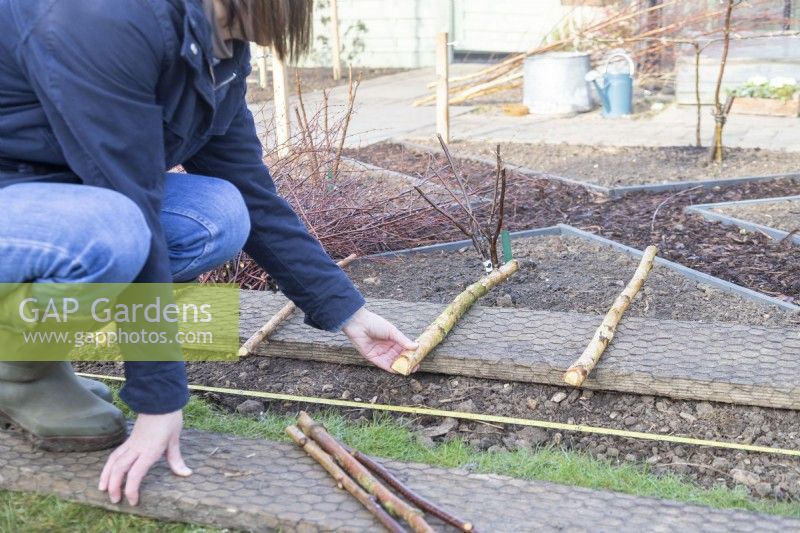 Woman laying birch sticks to be used as main posts along the edge of the border