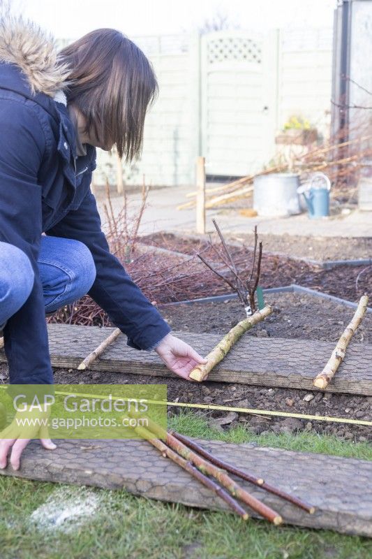 Woman laying birch sticks to be used as main posts along the edge of the border