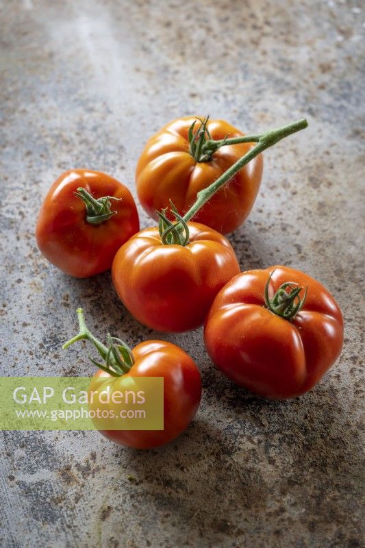 Tomato 'Country Taste' F1 - Beefsteak tomato - Solanum lycopersicum