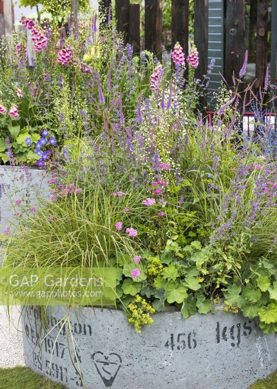 Contemporary garden design with perennials, summer June