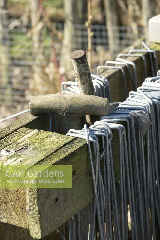 Iron pins for gardening.