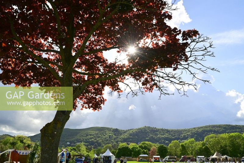 Area of Three Counties Showground with the backdrop of the Malvern Hills during RHS Malvern Spring Festival 2023. May