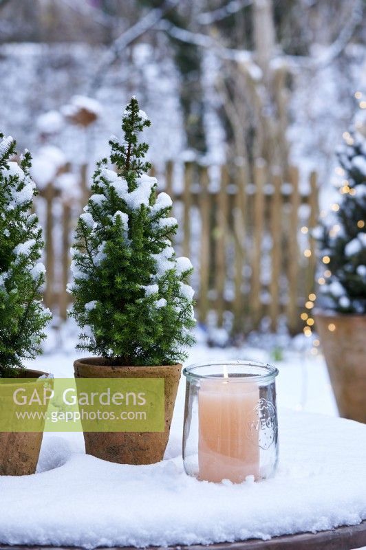 Table arrangement of Picea glauca 'Conica' in a ceramic pot  surrounded by snow and a candle with view into the snow covered garden
