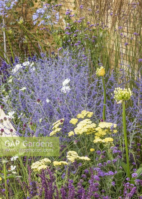 Drought resistant garden, summer July