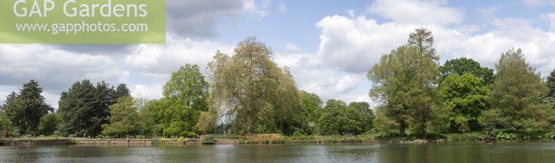 Kew Gardens London England United Kingdom
Stitched panorama looking across Palm House Pond
