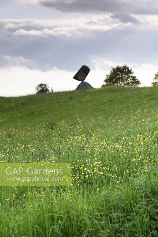 Stonebalancing sculpture by Adrian Gray in a Wiltshire garden in May with meadow of buttercups in the foreground.