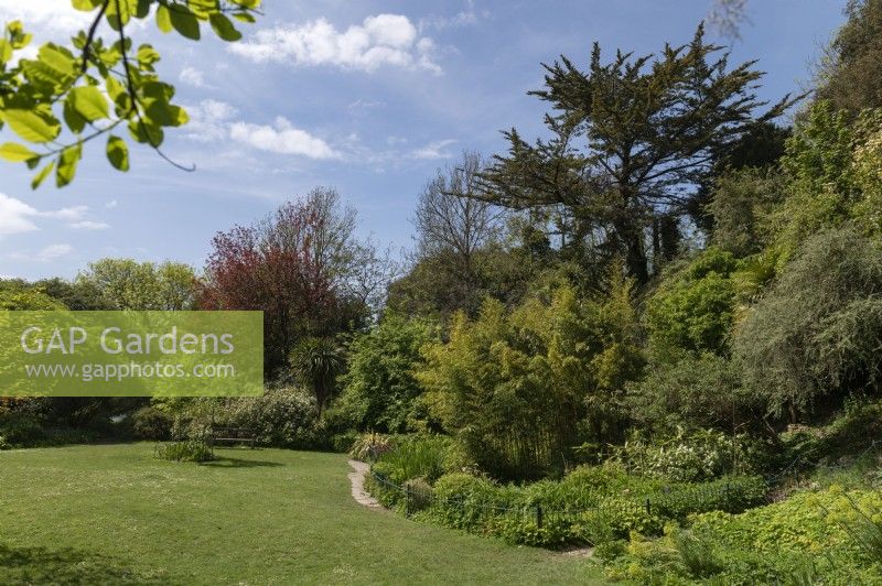 Highdown Gardens Worthing England United Kingdom
Council-run chalk gardens in the hills above Worthing. 
Western Chalk Gardens