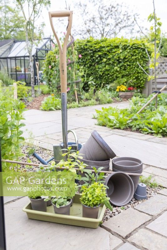 Terracotta pots, watering can, spade, bamboo cane, applemint, lemon balm, mint, thyme, sage and origano laid out on the ground