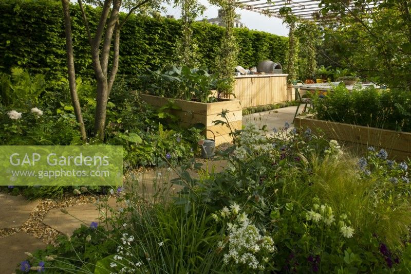 Herbaceous plants around the entrance to the meeting and kitchen area of the London Square Community Garden, a sanctuary garden designed by James Smith at the RHS Chelsea Flower Show 2023.