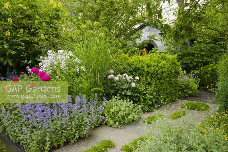 A stone path planted with patches of grass running through herbaceous borders and box hedge in the Myeloma UK - A Life Worth Living Garden designed by Chris Beardshaw at the RHS Chelsea Flower Show 2023