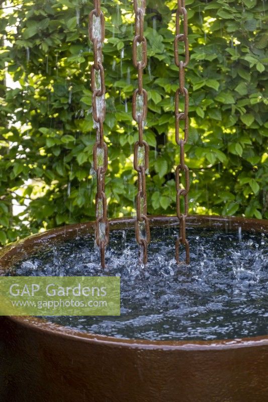 Water running down a three chains into a water butt.  The RSPCA Garden. Designer: Martyn Wilson