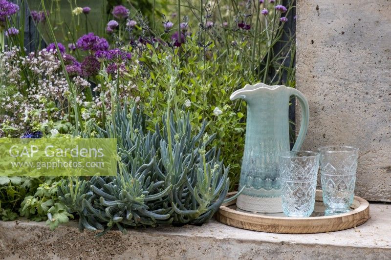 Drinks in the garden, a jug and glasses on a tray.  Plants included: Senecio mandraliscae, Saxifraga  urbium and Allium schoenoprasum - Chives. The Shifting Garden, Designers: The Chelsea Gardener.