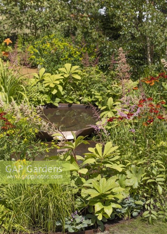 Cascade water feature with perennial planting including Rodgersia, summer July