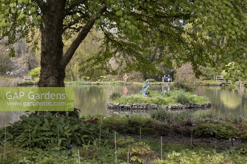 A view under a tree with spring foliage to a large lake with an island in the middle. The island has a sculpture of a young girl swinging a small child into the air. Marwood Hill Gardens, Devon. Spring. May