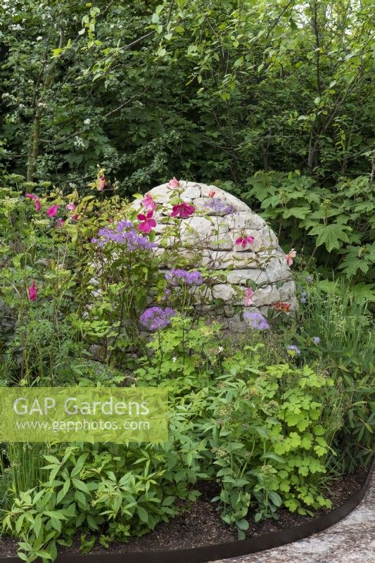 A stone cairn immersed in a border with Rosa x odorata 'Mutabilis' and Thalictrum 'Black Stockings', meadow rue. Design Harris and Bugg, Chelsea Flower Show 2023.