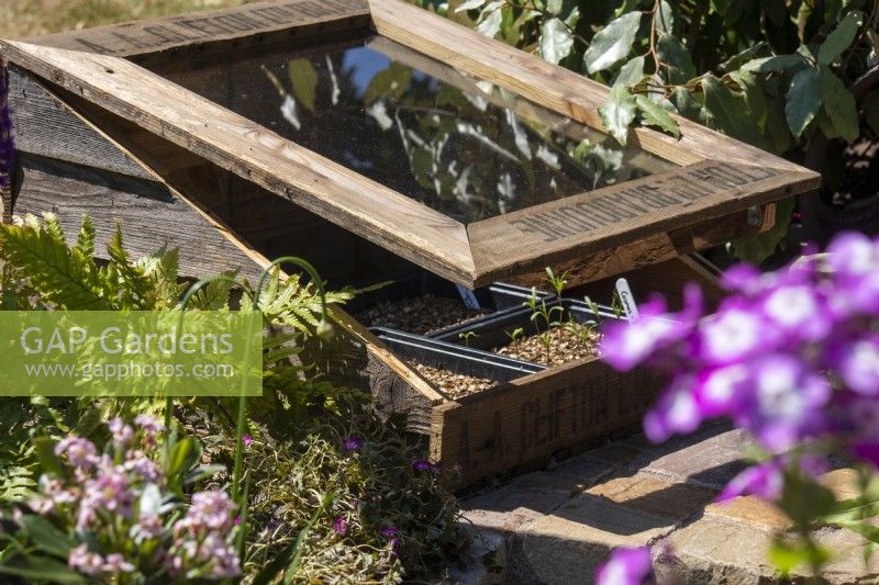 Cold frame made with recycled wood - Beautiful Border To The Garden I Go to Lose My Mind and Find My Soul - BBC Gardeners' World Live 2023 - Designer Shona Lockheart