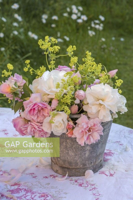 Pink and yellow roses displayed in metal bucket on patterned tablecloth