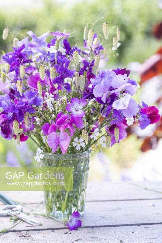 Bouquet of flowers containing Lathyrus 'Midnight Blues', Gypsophila elegans 'Covent Garden', Agrostemma githago - Corn cockle, Salvia viridis 'Blue Monday' and Briza maxima