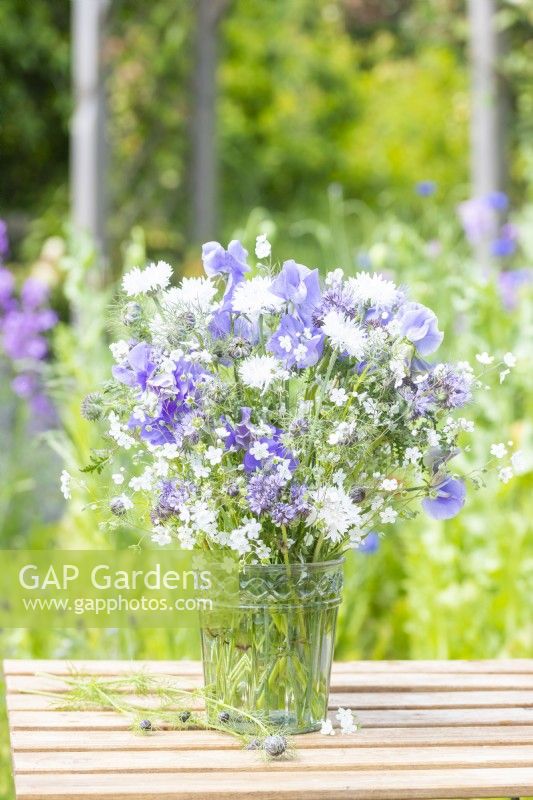 GAP Gardens - Specialist garden & plant stock photography