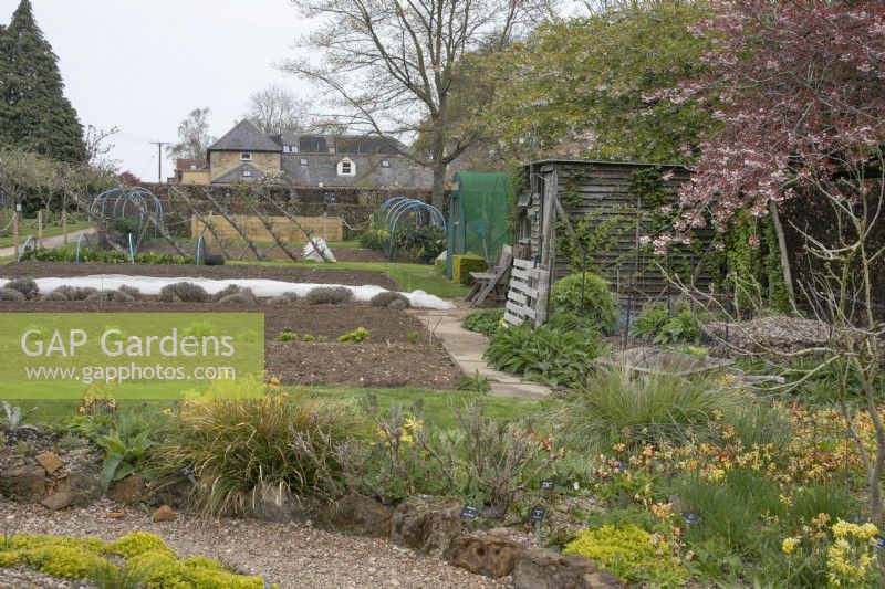 Allotment Garden at Barnsdale Gardens, April