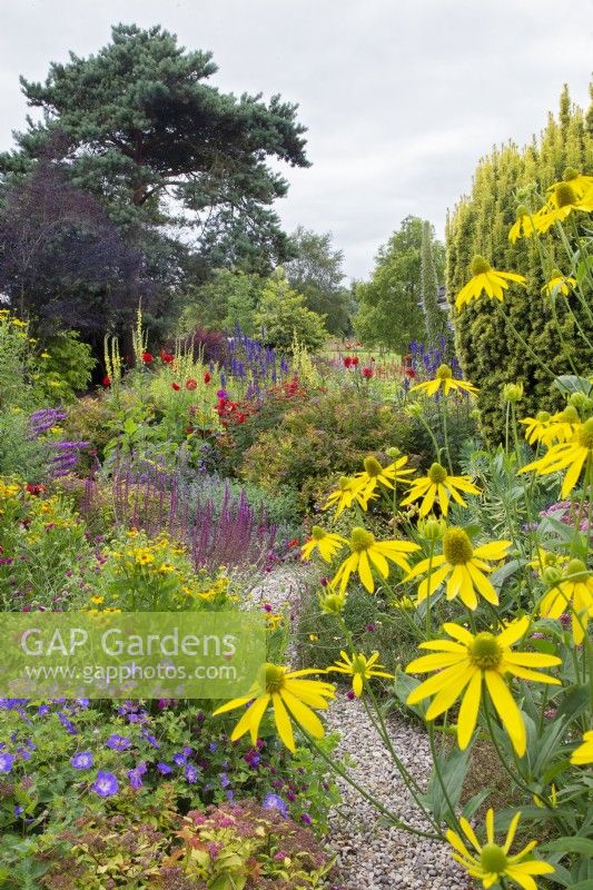South House Garden featuring Rudbeckia laciniata in foreground, beyond geranium and path with other flowering perennials 