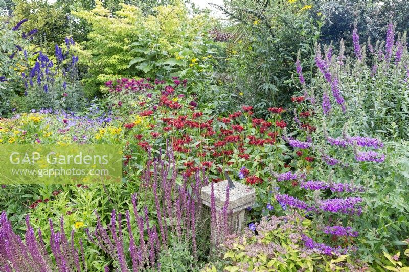 Salvia, lythrum, monarda etc surround sundial