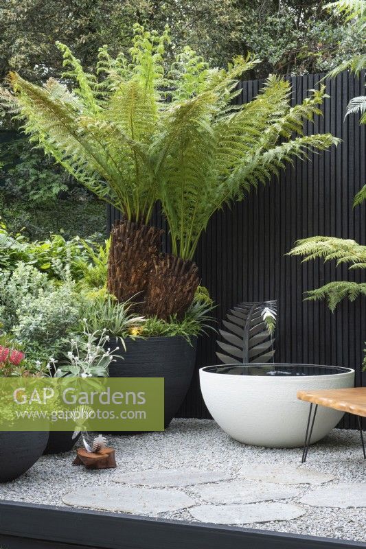 A courtyard inspired by New Zealand, with handmade pots filled with native plants and tree ferns. A bespoke water feature is fed by a silver fern, NZ's national symbol.