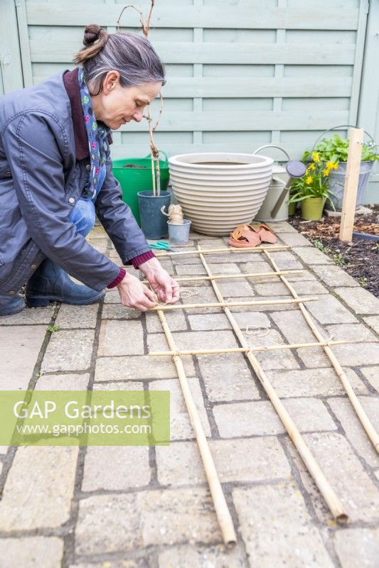 Woman laying bamboo canes out in a grid and tying them together to create a trellis for the grapevine