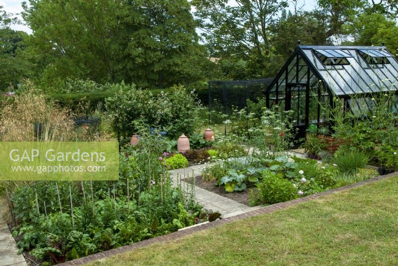 Modern greenhouse with vegetable plots, fruit cage, forcing  pots and slab paths in sunken area beyond lawn - Open Gardens Day, Tuddenham, Suffolk