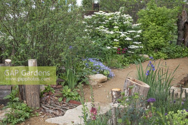 The Wildlife Trusts: Wilder Spaces garden at RHS Malvern Spring Festival 2023