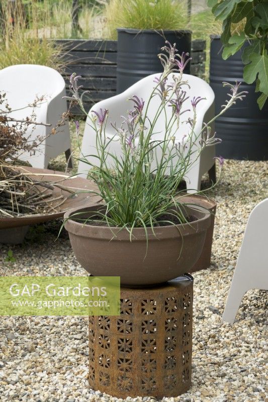 Terrace with gravel surface and seat area with metal shell fire pit. Container on decorated rustic iron table. Black painted barrels planted with several grasses.