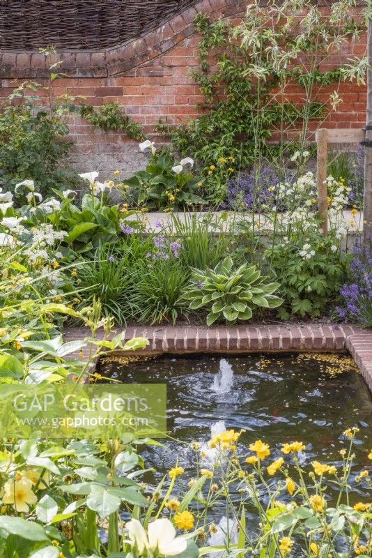 Small rectangular brick lined pool with bubble fountains with borders, plants inc:- Hostas; Astrantia; Zantedenchia aethiopica; Tulbaghia violacea, Geums