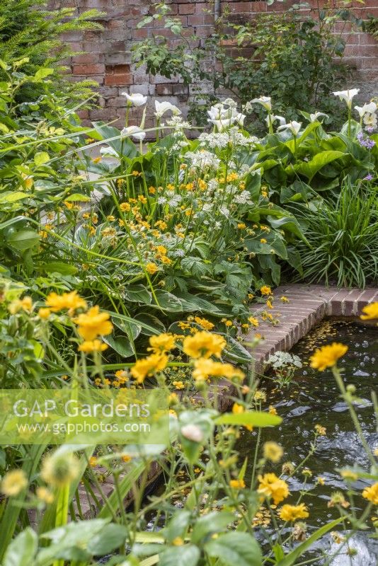 Small rectangular brick lined pool with and yellow and white planting scheme - Geums; Hostas; Astrantia and roses