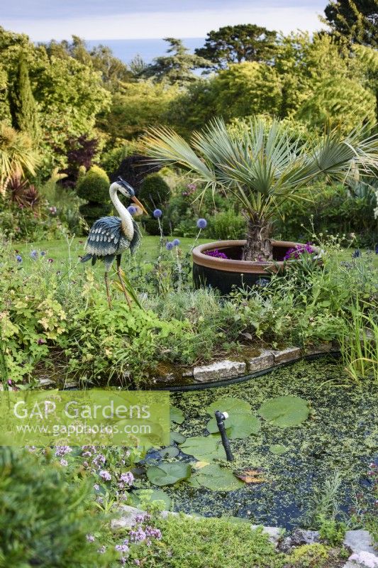 Garden pond overlooked by a decorative metal heron in July