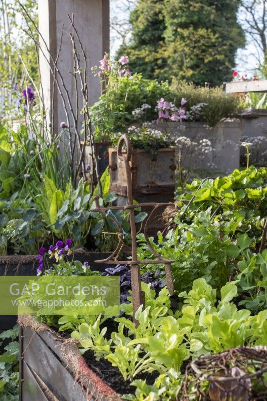 Container planting using reycled materials - RHS Malvern Spring Festival 2023 - Bee Positive, Bee Kind, Bee Aware - Designers Rick Ford, Katie Gentle