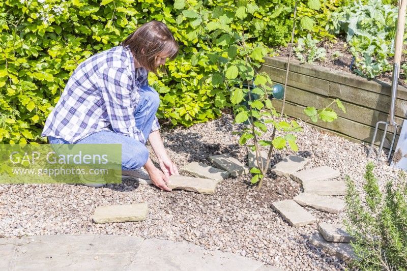 Woman placing small stone tiles in a ring around Hazel 'Webs Prize Cob' 