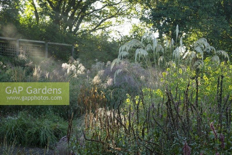 View of the Dragon Garden, Knoll Gardens, Dorset.