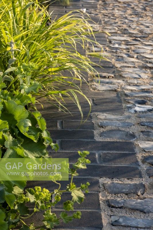 Alchemilla mollis and an ornamental grass spilling over the brick and flint path, The Traditional Townhouse Garden. Designed by: Lucy Taylor