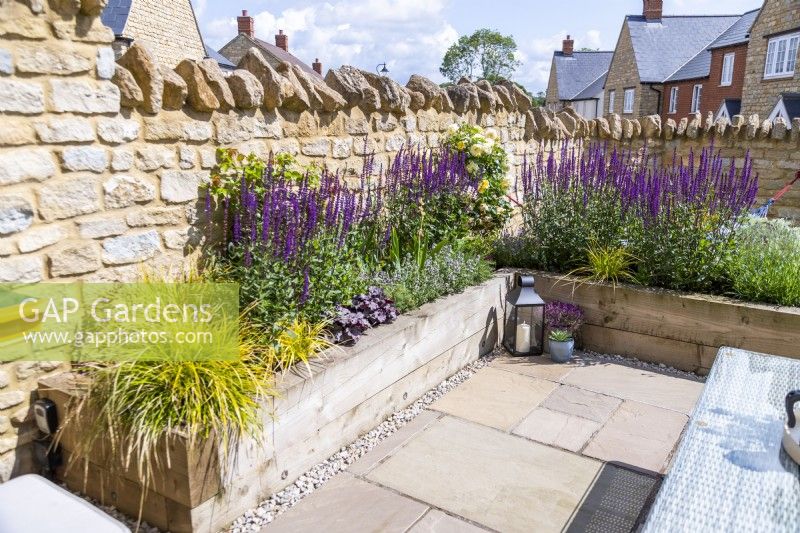 Raised bed planted with Carex oshimensis 'Everillo', Salvia nemorosa 'Caradonna', Heuchera 'Huckleberry' and Rosa 'Golden Celebration