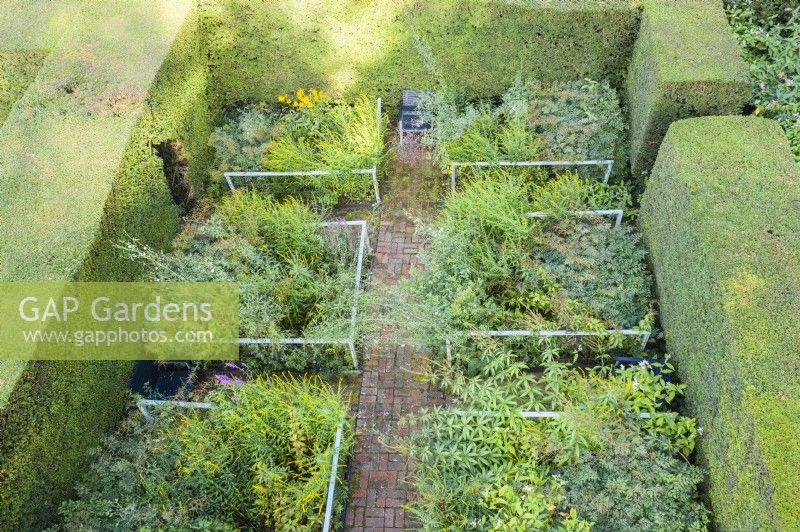 View over garden enclosed by hedges of clipped Yew, planted with later flowering perennials and with six beds separated by brick paths and contained by railings. September. Image taken with drone.