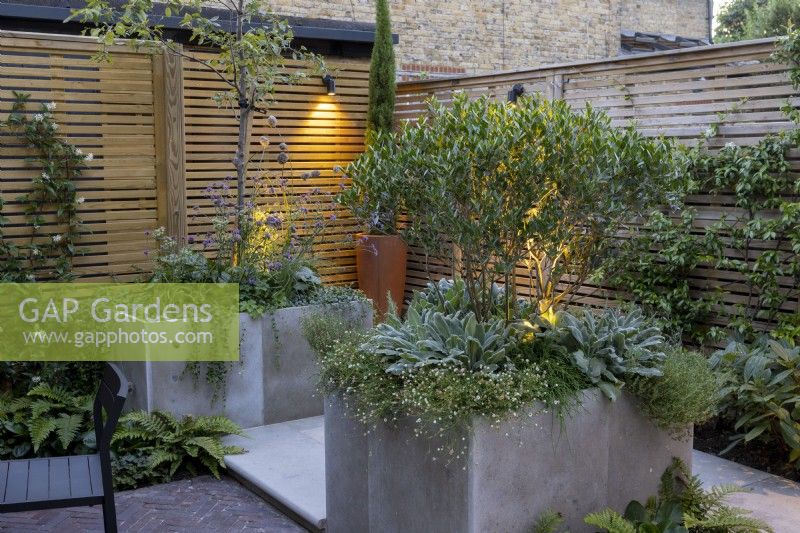 Courtyard garden at dusk with stone raised beds and contemporary wood boundary fence and lighting