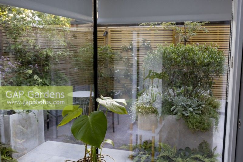 View through floor-to-ceiling windows of a modern garden with a patio, boundary fencing and raised beds planted with perennials.
