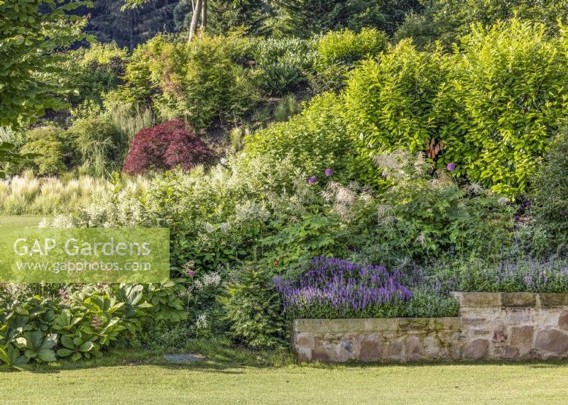 Perennial border beside a retaining wall, summer August