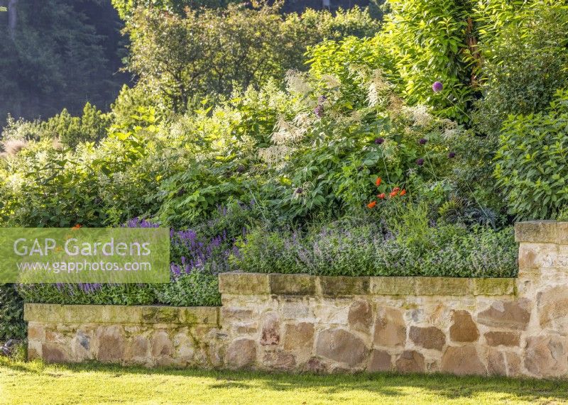 Retaining wall below a perennial planting, summer August