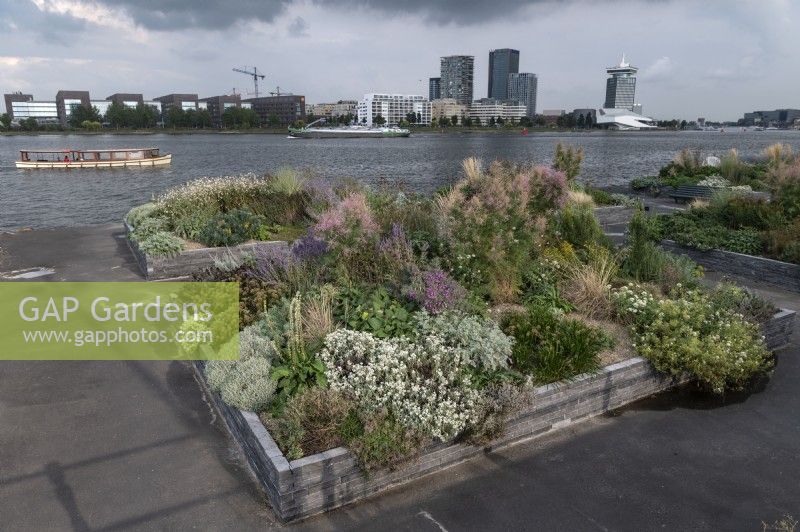 Amsterdam The Netherlands
Raised beds planted with prairie-style combinations of ornamental grasses and pollinator plants, planted to green up public space throughout the city.