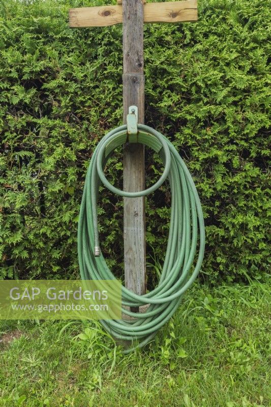 Green garden watering hose wound on metal holder attached to wooden post in backyard in summer.