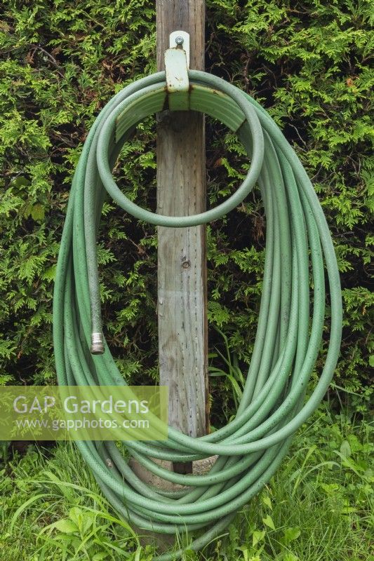 Green garden watering hose wound on metal holder attached to wooden post in backyard in summer.